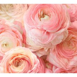 Пионы 294x260 см