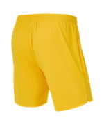 Шорты вратарские JOGEL PREMIER PerFormDRY GK Shorts Yellow, желтый