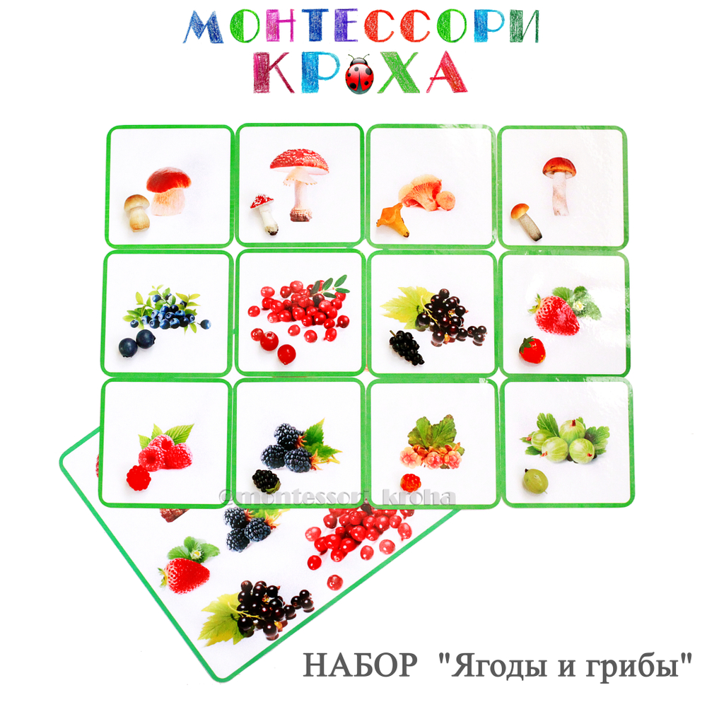 КАРТОЧКИ МОНТЕССОРИ НАБОР «Ягоды и грибы»