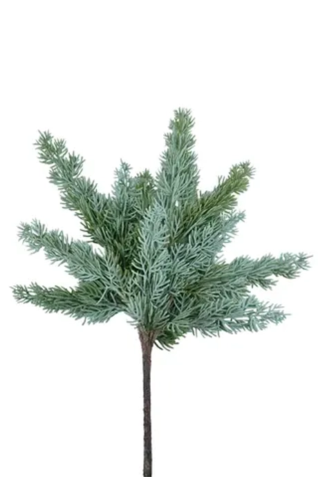 Ветка можжевельника малая