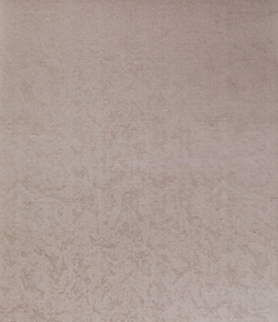 Рулонные шторы Фрост Светло-серый