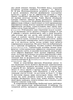 Нейрофизиология коры головного мозга: модульный принцип организации. (курс лекций) | А. С. Батуев