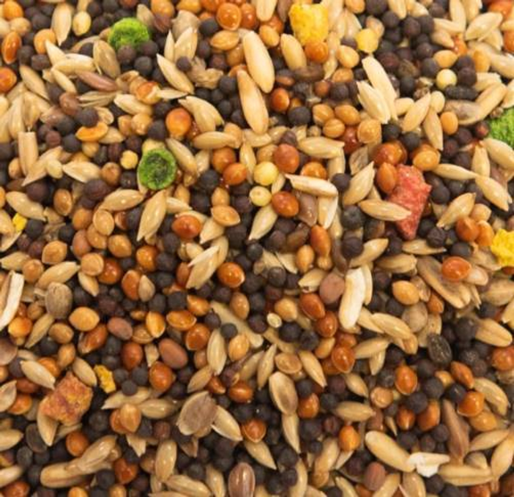 Содержимое