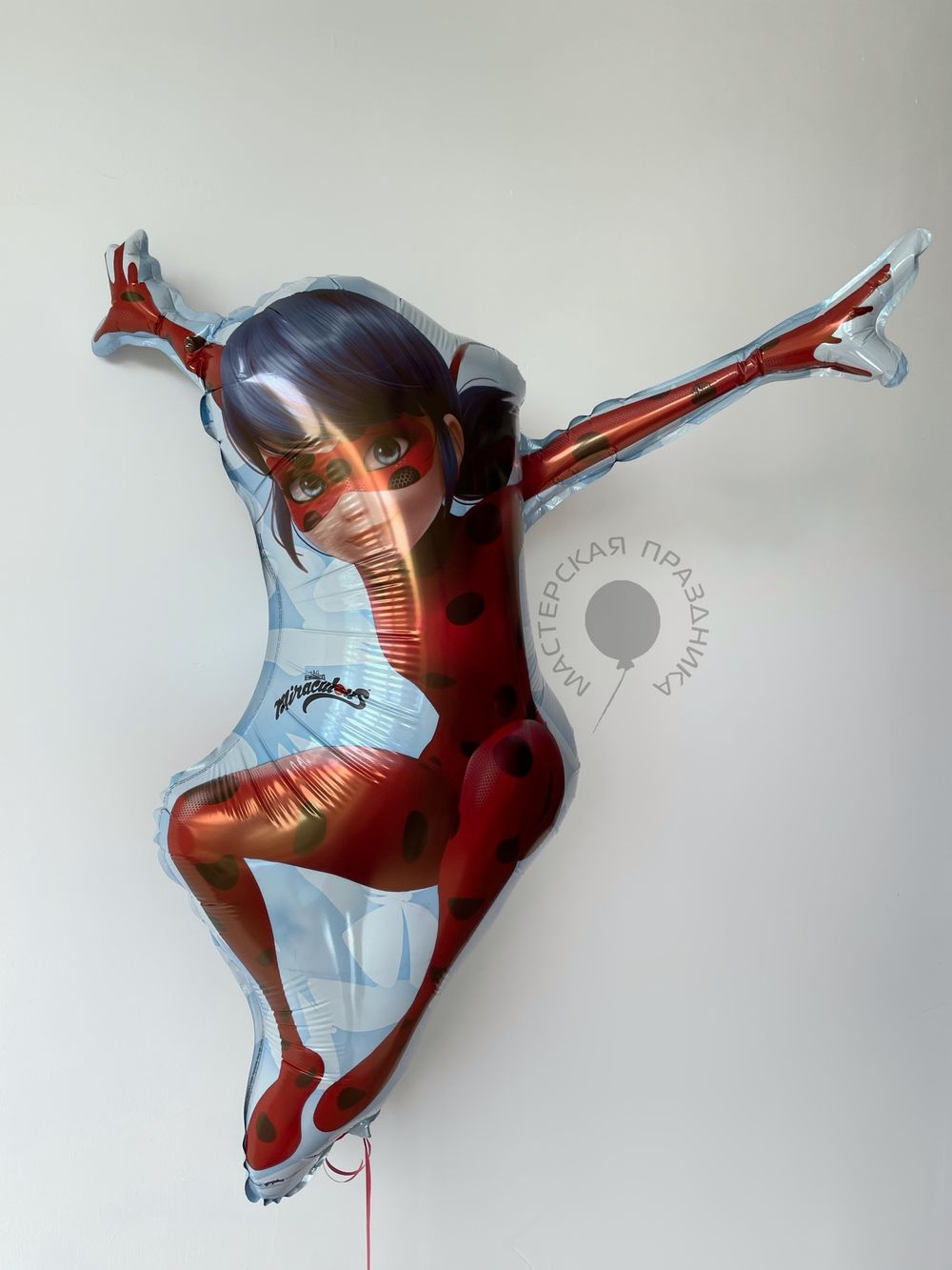 Воздушные шары №698  Изображение3