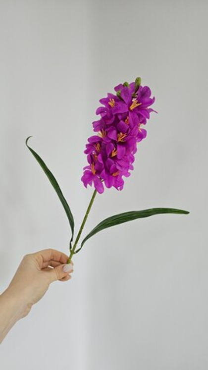 Гиацинт / Арт 2532