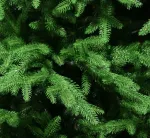 Ель искусственная «Лесная красавица» (Литая хвоя) от 1,2 м до 3 м