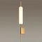Настенный светильник Odeon Light Pendant Reeds 4794/12WL