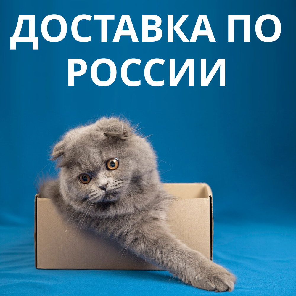 Доставка по России