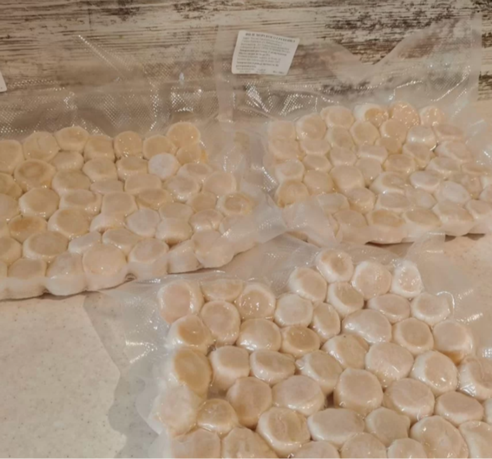 Морские гребешки северо-курильские, 500 гр