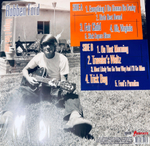 Robben Ford / Bringing It Back Home (Limited Edition)(Coloured Vinyl)(LP)