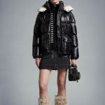 Куртки Moncler FW22 Abbaye, H20931A0006368950999