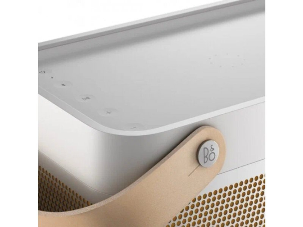 Портативная акустика Bang & Olufsen Beolit 20 Grey Mist