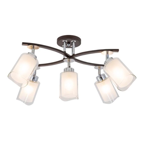 Спот Citilux Фортуна CL156152