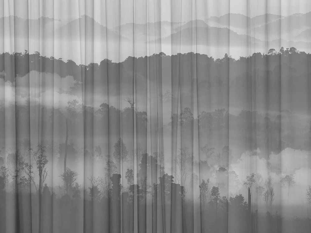 Коллекция FORESTA