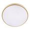 Потолочный светодиодный светильник Loft IT Flims 10228/A