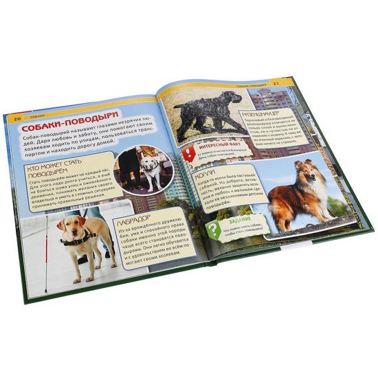 Энциклопедия А4 с развивающими заданиями. Собаки. Формат: 197х255 мм. 48 стр. Умка
