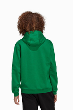 Кофта adidas Entrada 22 Sweat