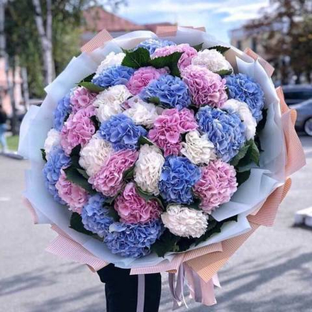 Огромный букет из 31 гортензии