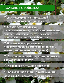 Лапчатка белая, экстракт 60 капсул