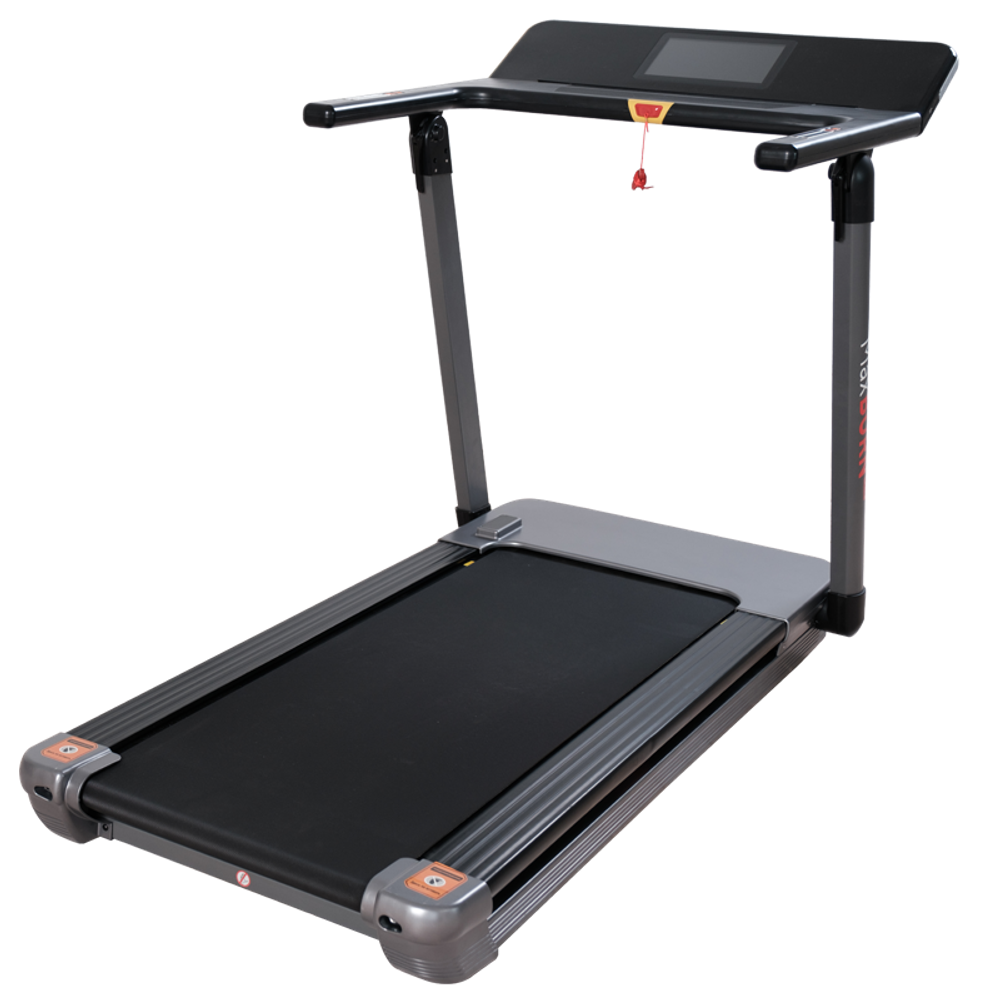 Беговая дорожка Ergonova MaxBurn Pro