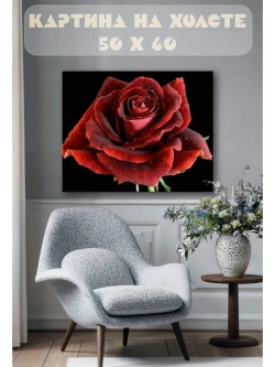 Картина на стену 40 X 50 Роза