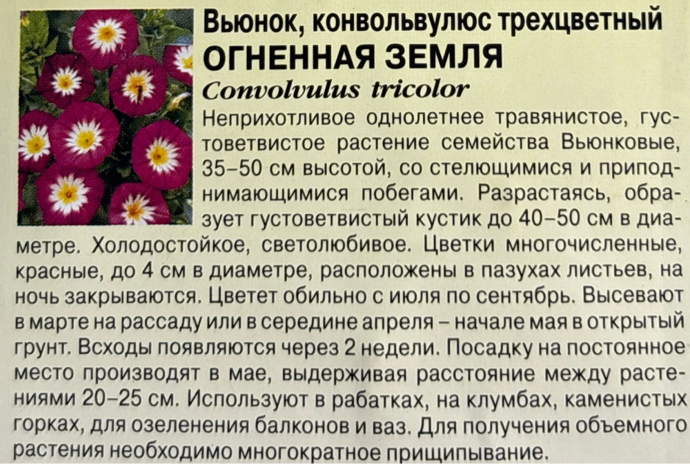 Вьюнок Огненная земля 0,5 г СМЦ-501