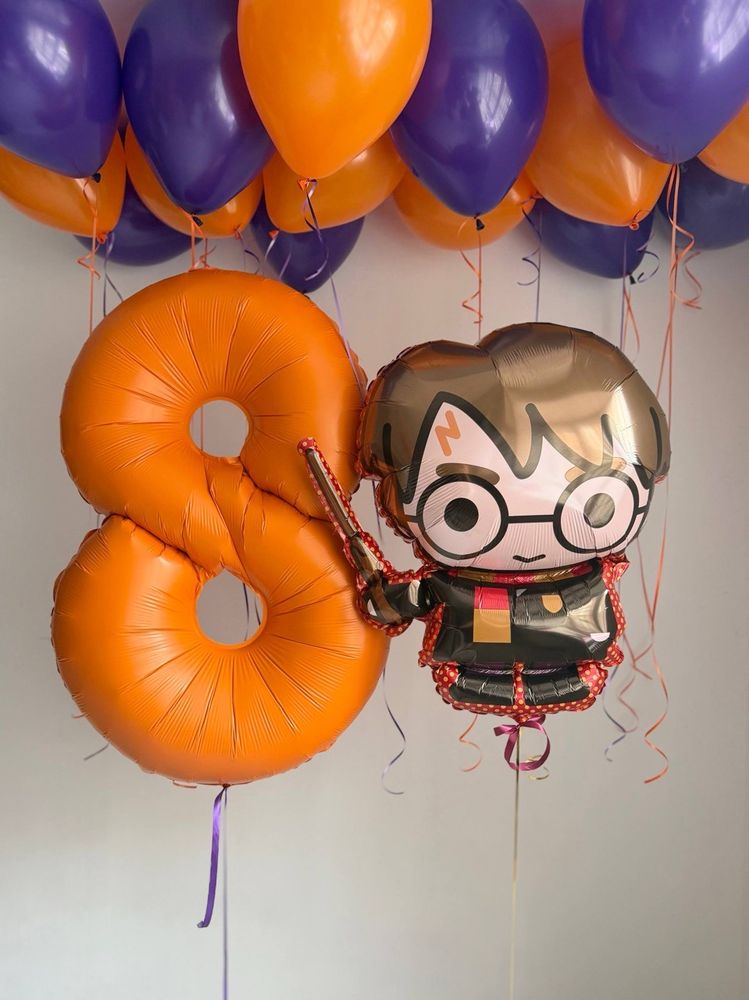 Воздушные гелиевые шарики с доставкой по Хабаровску Гарри Поттер №5095