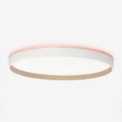 Citilux ETALON CL750400R LED RGB Светильник с пультом Белый+Бук