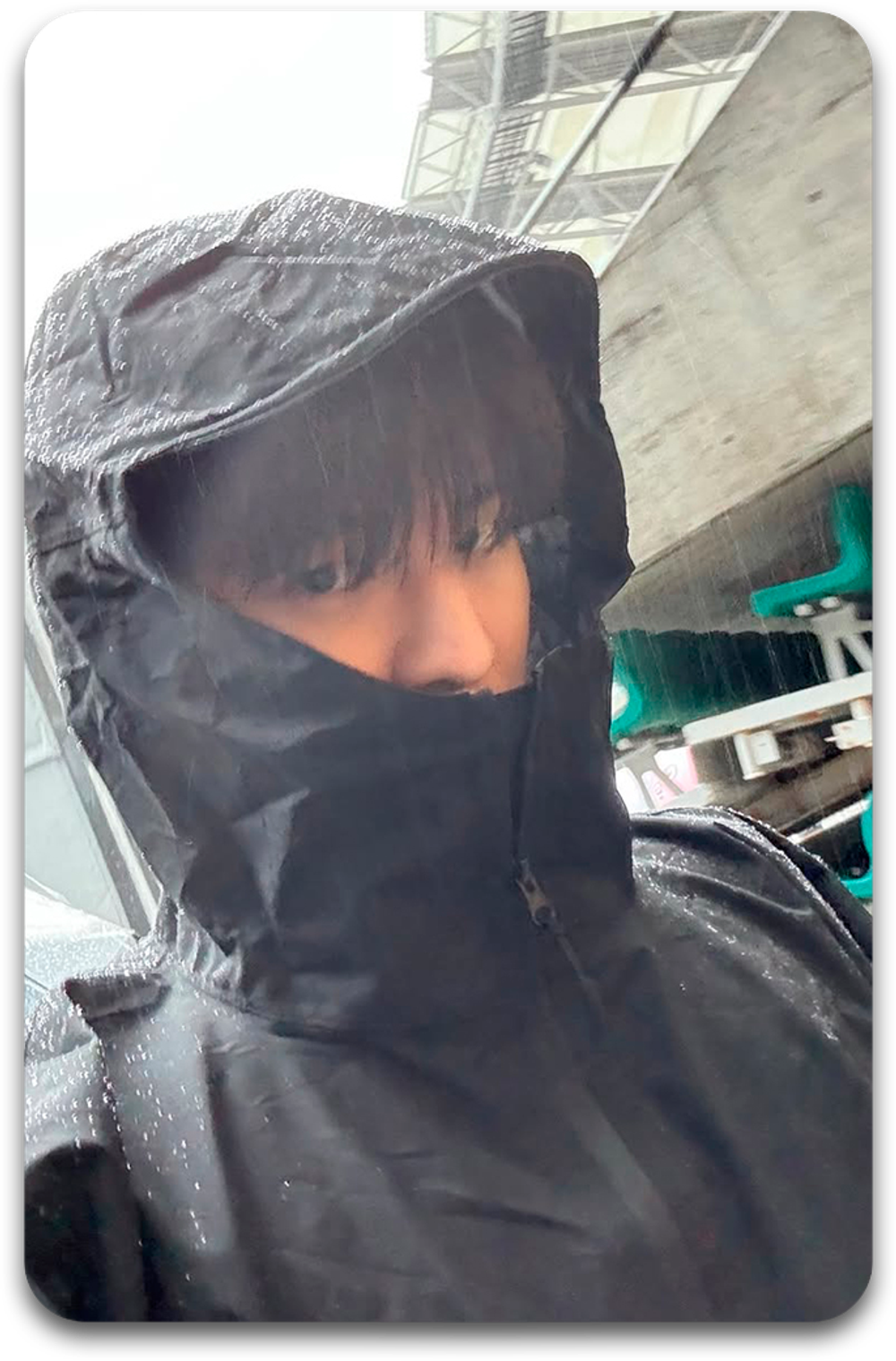 Карта / STRAY KIDS #3543