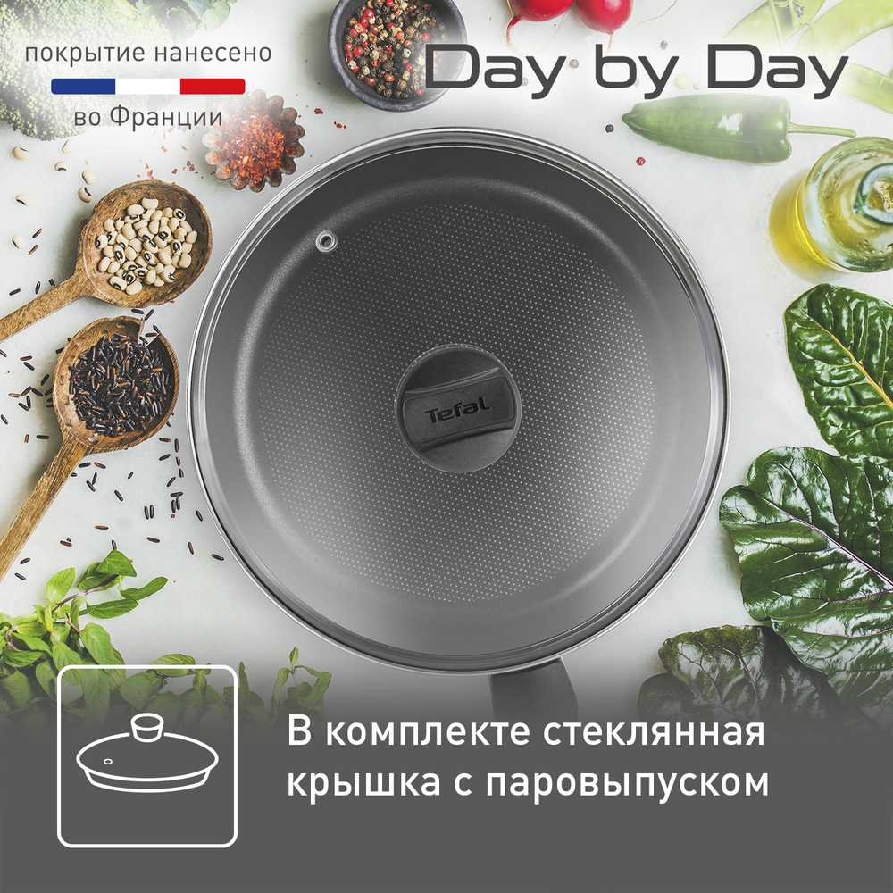 Сковорода с крышкой Tefal Day by Day 24 см 04216924