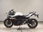 Suzuki GSX250R , 2018