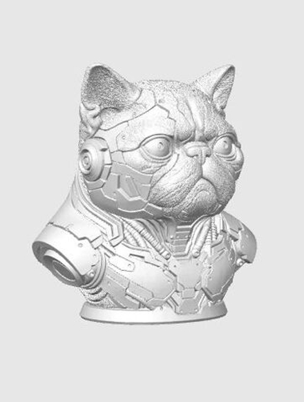Экзотическая Короткошерстная кошка Киберпанк