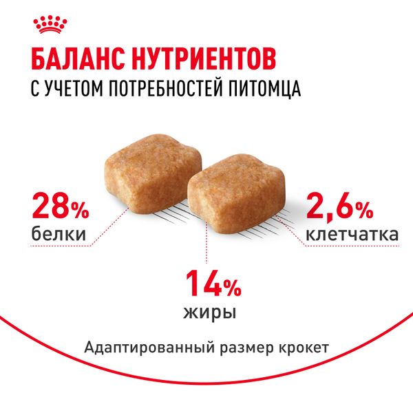 Сухой корм Royal Canin Dachshund Adult для взрослых собак породы Такса от 10 месяцев