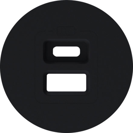 Накладка для розеток USB,  матовый карбон,  серия D16