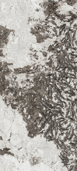 BUTTERFLY LOVE & GOLDEN FLOWER