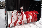 Бензиновый снегоуборщик GEOS Premium SnowLine 760 TE