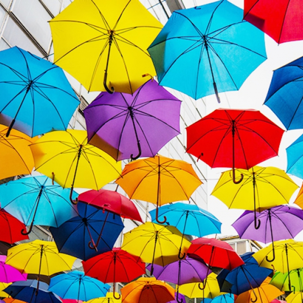 Идеальный выбор и сочетание функциональности