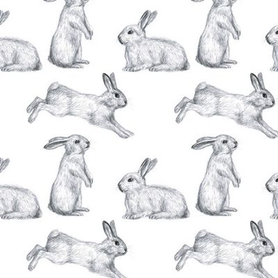 Весёлые зайчики 1