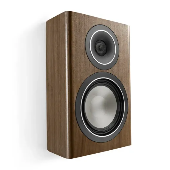 Canton Townus 10 Walnut