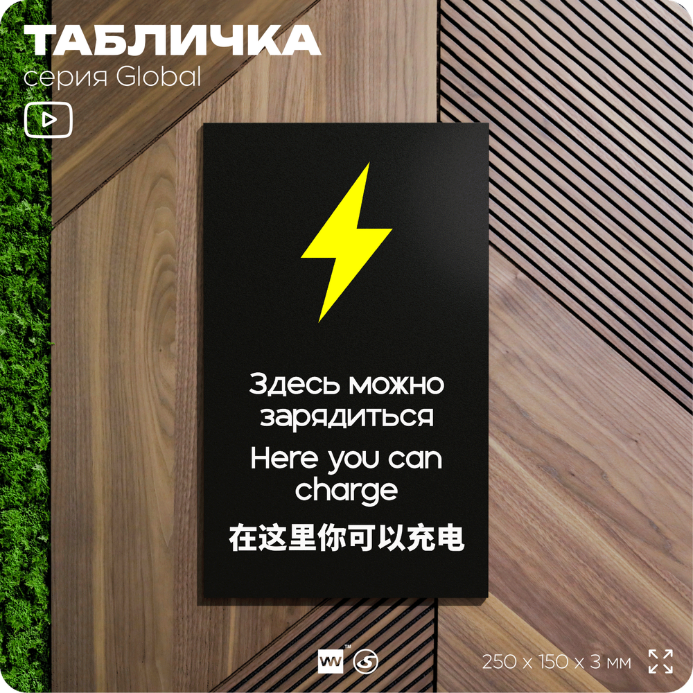 Табличка Здесь можно зарядиться, на дверь и стену, информационная и мультиязычная (русский, английский, китайский), серия GLOBAL, 25х15 см, Айдентика Технолоджи
