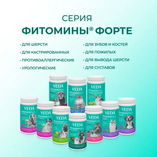 Витамины Фитомины Форте для зубов и костей собак, на основе растительных, минеральных и биоактивных веществ, 200 таблеток