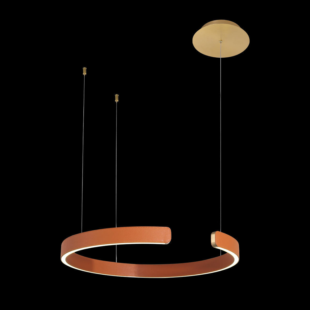 10025/400 Orange Подвесной светильник LOFT IT Ring