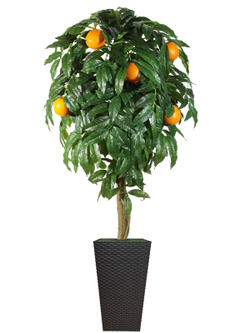 Искусственное дерево Апельсин 180см в высоком коричневом кашпо ротанг