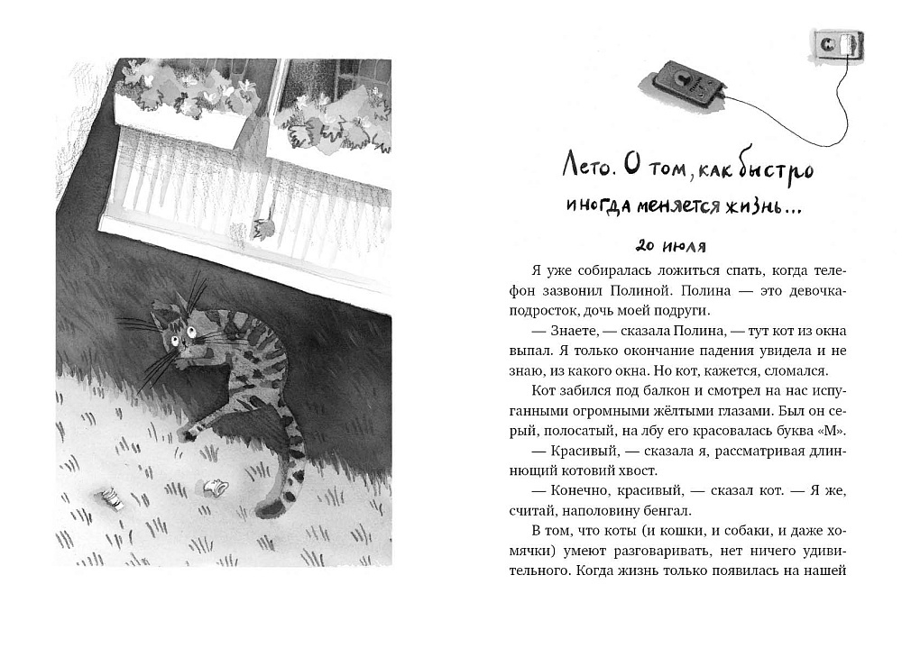 Кот прямо с неба