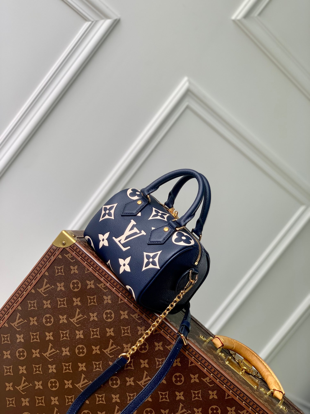 Louis Vuitton Speedy 20
