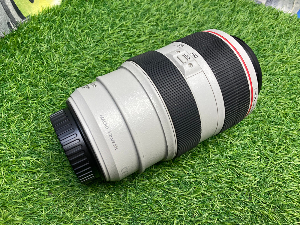 Canon EF 70-300mm 4-5.6L IS USM