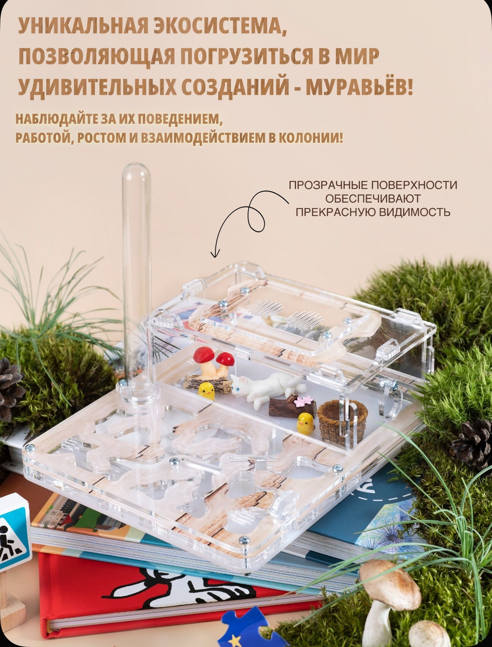 Муравьиная ферма с муравьями в подарок «Древесная»