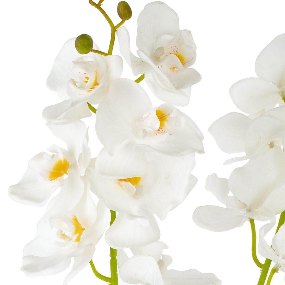 GAEM Цветочная композиция "Орхидея", L18 W18 H82 см