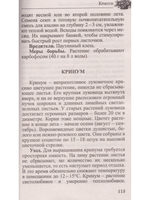 Любимые домашние цветы. Практические советы