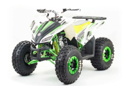 Квадроцикл MOTOLAND 125 Coyote (2021 Г.)